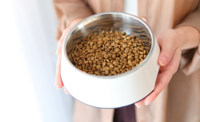 Choosing the Perfect Kibble Size for Your Dog