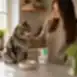 Zuppa per gatti adulti sterilizzati di tutte le razze con tonno e anatra