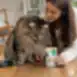 Zuppa per gatti adulti sterilizzati di tutte le razze con tonno e anatra