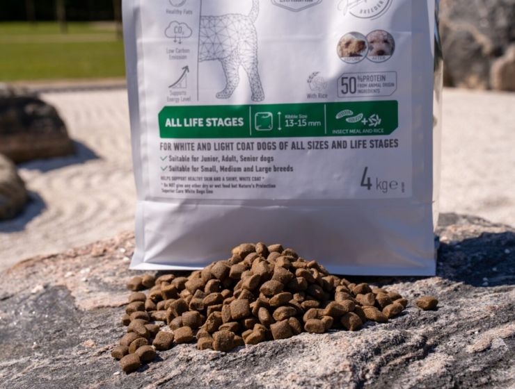 Dog food with insect proteins. Is it beneficial for the dog&#039;s health or is ir just a trend?
