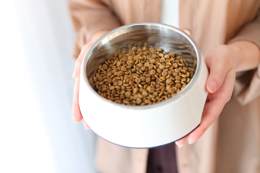 Choosing the Perfect Kibble Size for Your Dog
