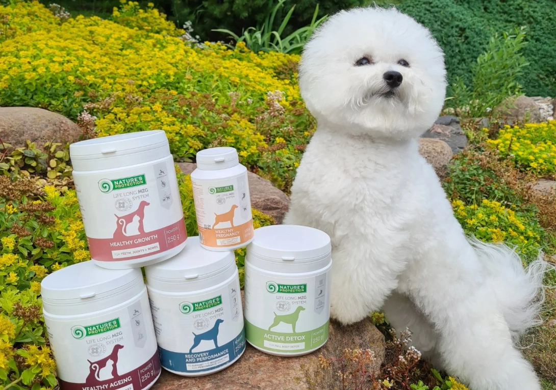 Microzeogen: A Natural Solution for Pet Health and Wellness