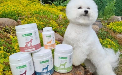Microzeogen: A Natural Solution for Pet Health and Wellness