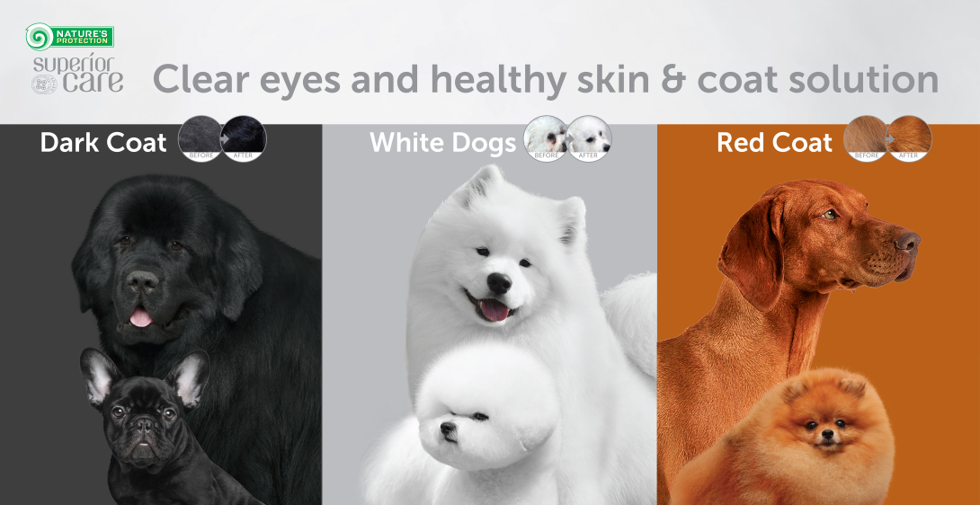 Tailored Solutions for Coat Colors. All Life Stages