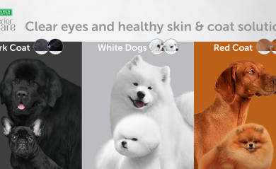 Tailored Solutions for Coat Colors. All Life Stages
