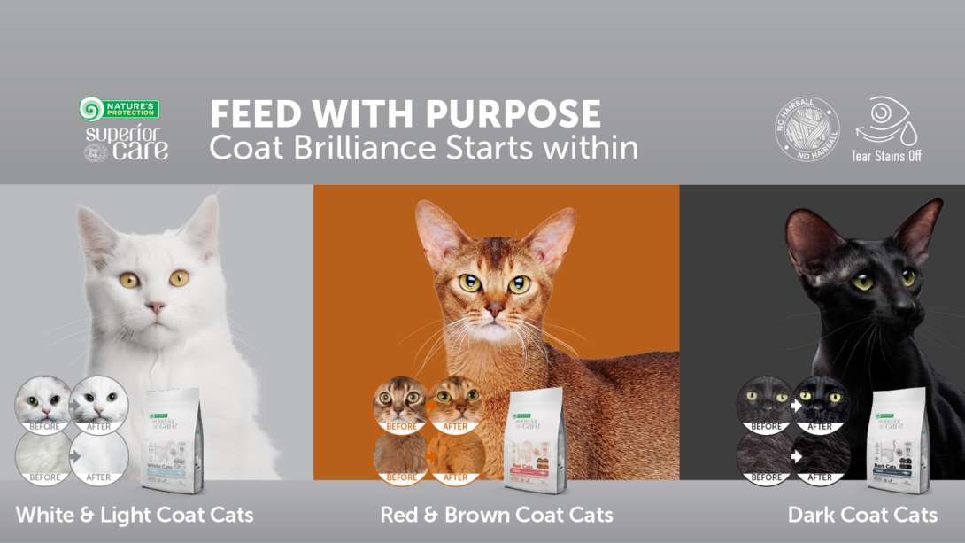 Supreme Feline Cuisine: Tailored Nutrition for Cats