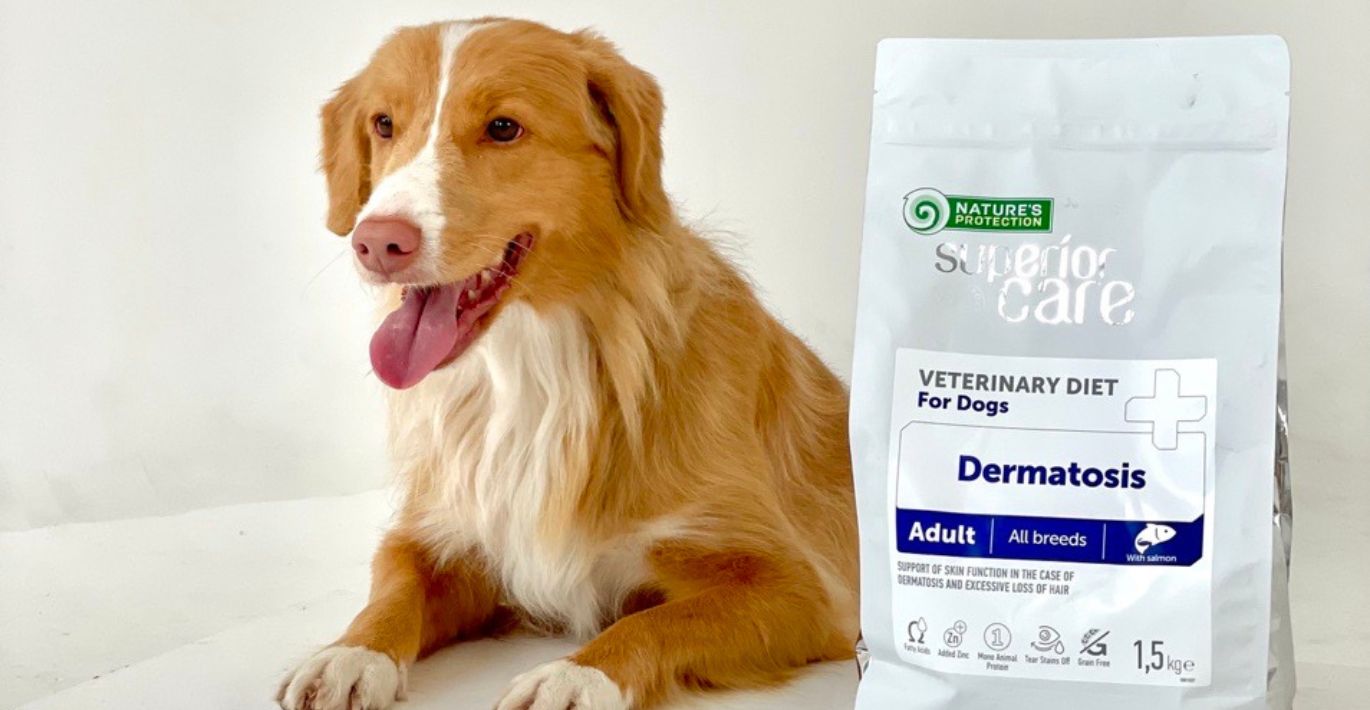 Veterinary diet dermatosis dog sale