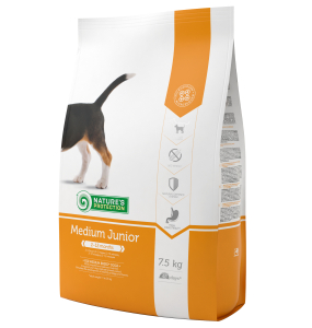 dry food for junior all breed dogs with poultry