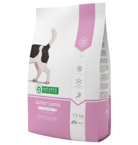 dry food for junior all breed dogs with lamb