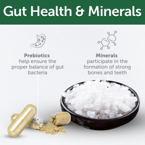 complementary grain free feed - snacks to support immune health with herring for adult all breed dogs with white coat