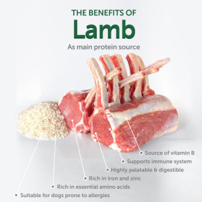 dry food for adult, small and mini breed dogs with white coat, with lamb