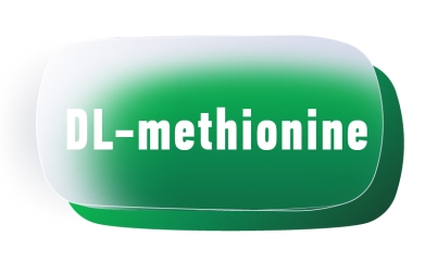 DL Methionine