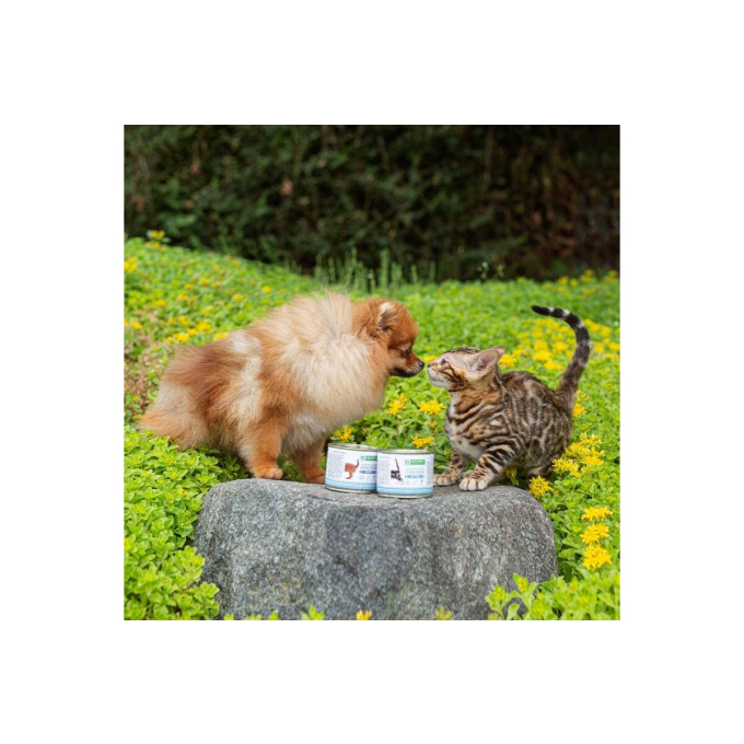 консервы для кошек младших возрастов с курицей - 1