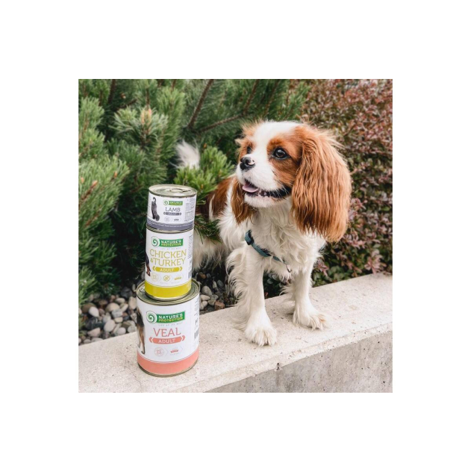 Conservas para perros - 2