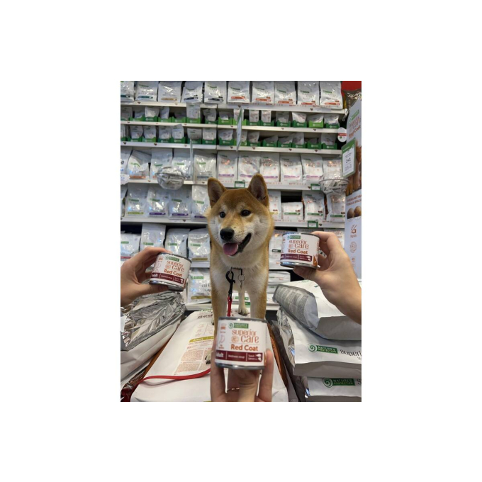 кормовая добавка - бульон для взрослых собак всех пород, c лососем и тунцом - 6