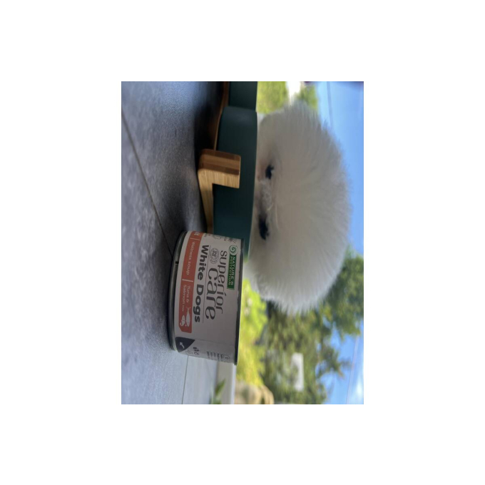 White Dogs aanvullend diervoeder - soep voor volwassen honden van alle rassen met zalm en tonijn - 2