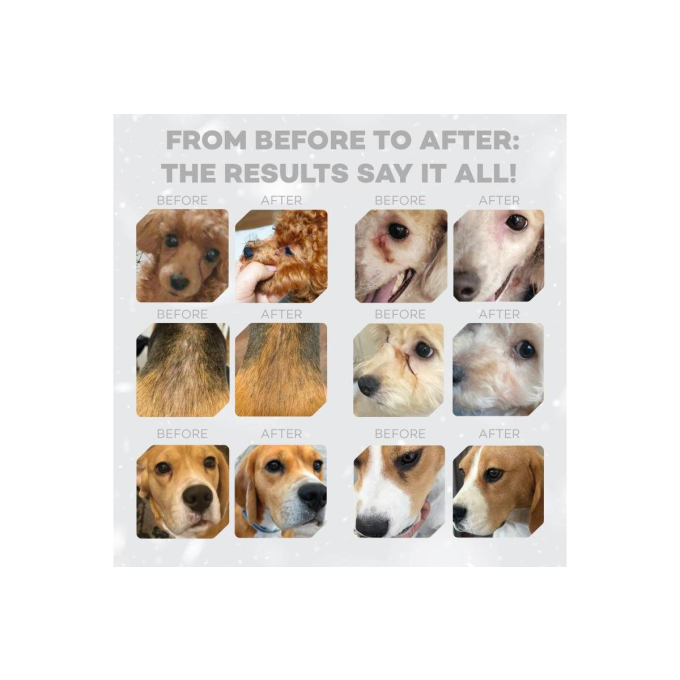 dry grain free food for adult dogs of all breeds with red coat, with salmon - 13