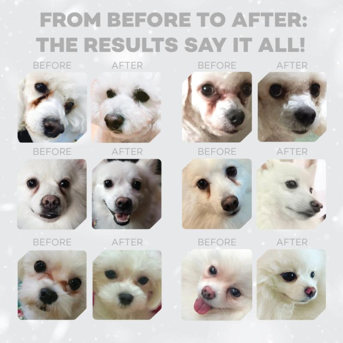 dry pet food with white fish for dogs of all sizes and life stages with white coat - 11