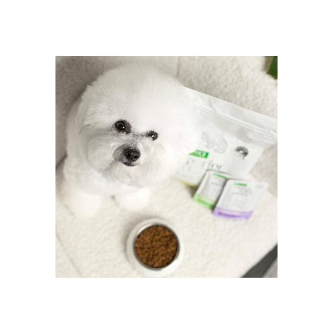 aliment sec sans céréales pour chiens adultes de petites races à poil blanc, avec insectes  - 1