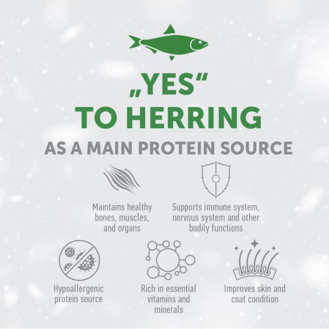 dry grain free pet food with herring for adult dogs of small breeds with white coat - 1