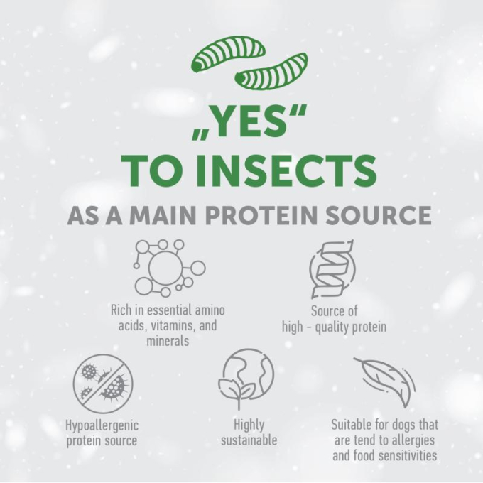 dry pet food with insect for dogs of all sizes and life stages with white coat - 3