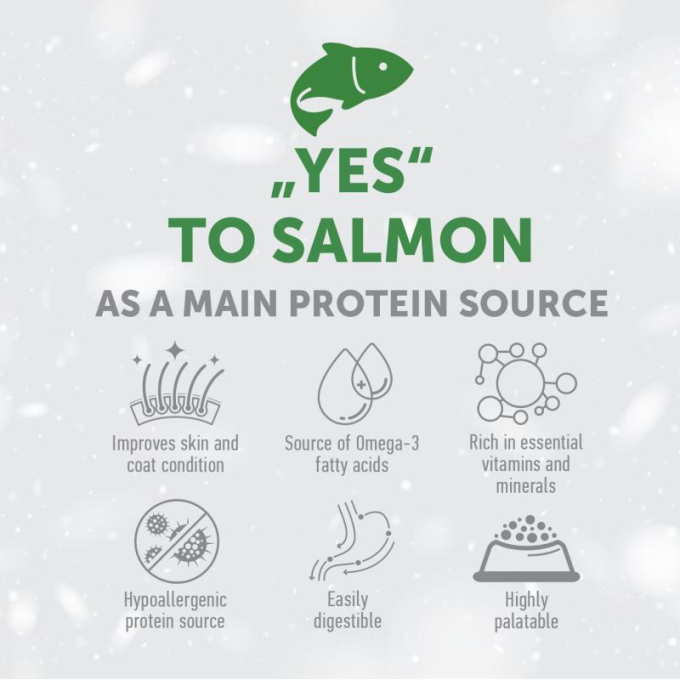 dry grain free food for junior dogs of all breeds with white coat, with salmon - 2