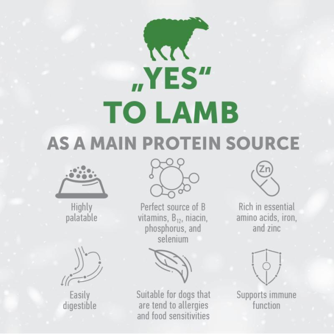dry grain free food for adult dogs of small breeds with red coat, with lamb  - 3