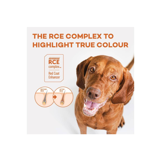 dry grain free food for adult dogs of all breeds with red coat, with salmon - 7