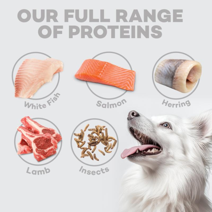 dry pet food with white fish for growing dogs of all sizes with white coat - 10