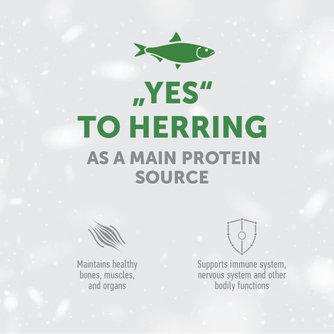 complementary grain free feed - snacks to support immune health with herring for adult all breed dogs with white coat - 2