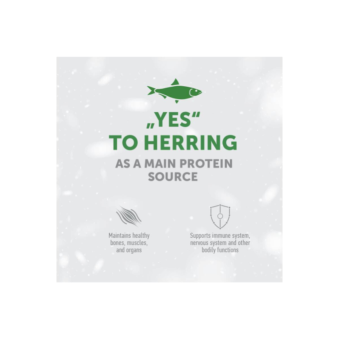 dry grain free pet food with herring for adult all breed cats with white coat - 4