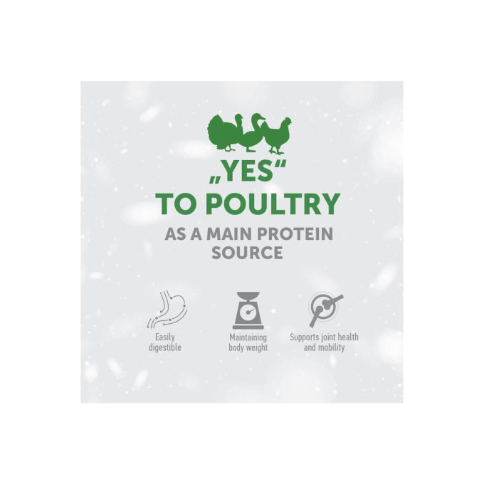 complementary feed - snacks to support urinary with poultry for adult cat - 2