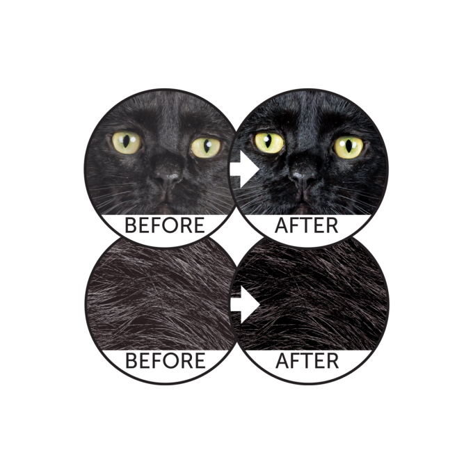 nourriture sèche sans céréales avec hareng pour chats adultes de toutes races au pelage foncé - 5