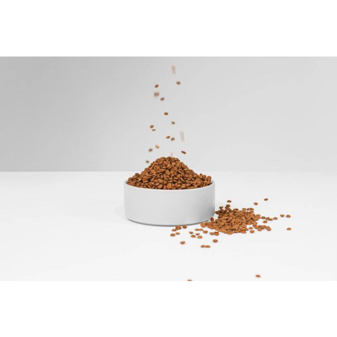 droogvoer zonder granen voor volwassen honden van kleine rassen met rode vacht, met lam  - 4