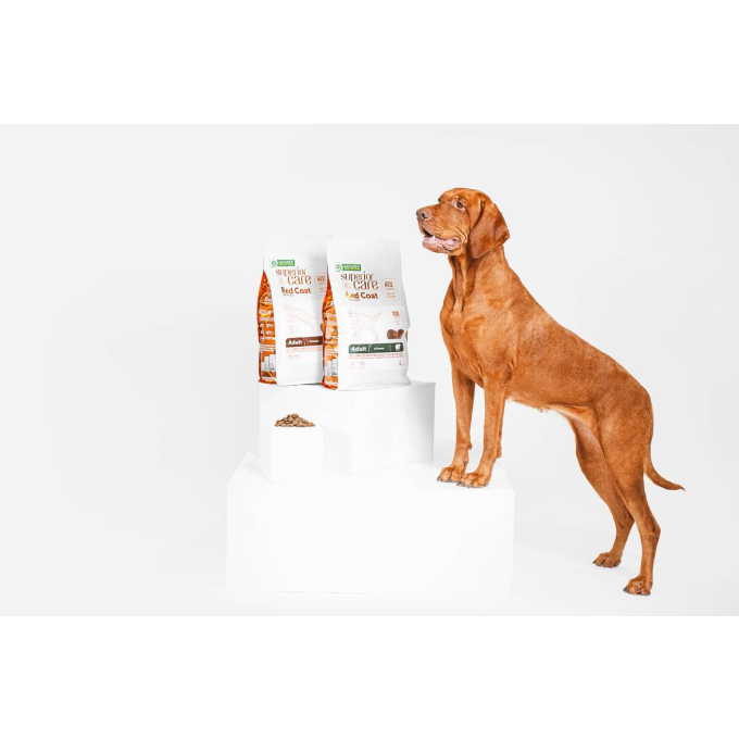 aliment sec sans céréales pour chiens adultes de toutes races à poil roux, avec saumon - 3