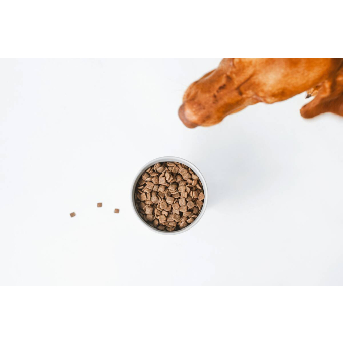 aliment sec sans céréales pour chiens adultes de toutes races à poil roux, avec saumon - 5