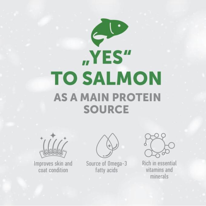 dry grain free food for adult sensitive dogs of all breeds with salmon - 2