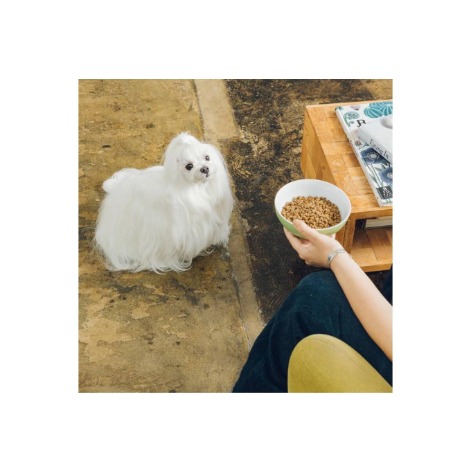 сухой беззерновой корм с лососем для взрослых чувствительных собак всех пород - 3