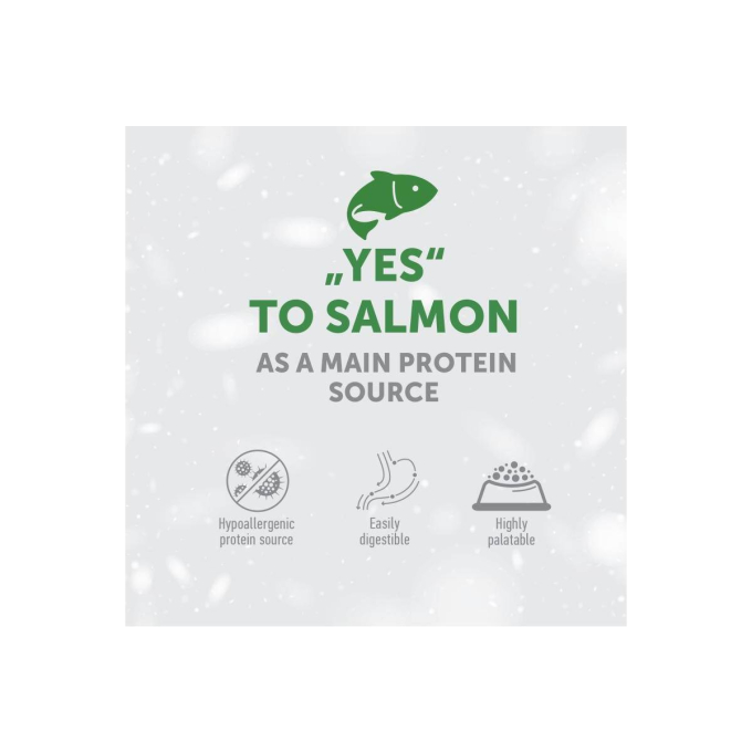 dry grain free pet food with salmon for adult sensitive dogs of all breeds - 2