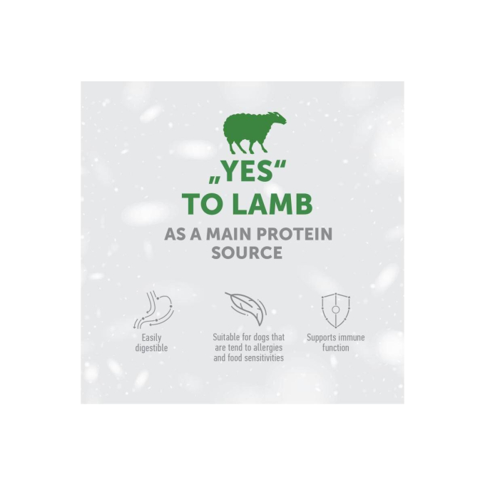 dry food for adult dogs of all breeds with sensitive skin and stomach, with lamb - 2