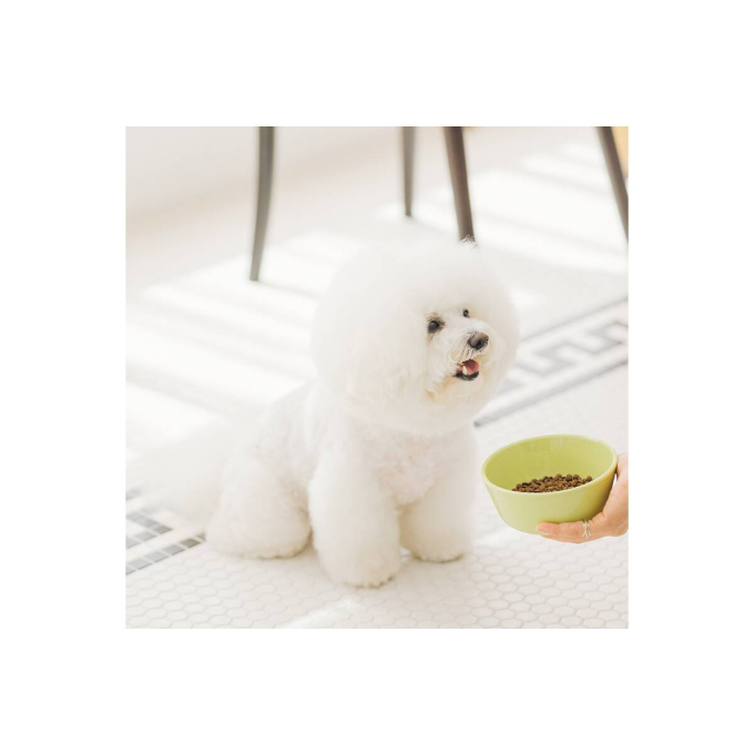 droogvoer voor volwassen honden van kleine rassen met gevoelige huid en maag, met lam - 2