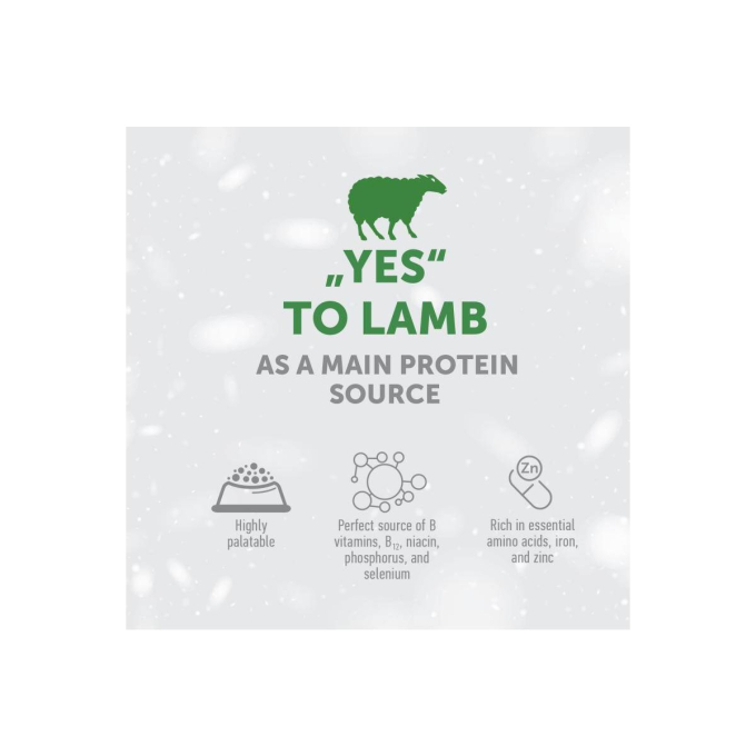 dry food for adult dogs of small breeds with sensitive skin and stomach, with lamb - 3