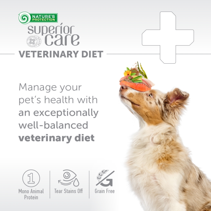 Anti-Inflammatory Foods for Dogs: Boost Your Pet's Health