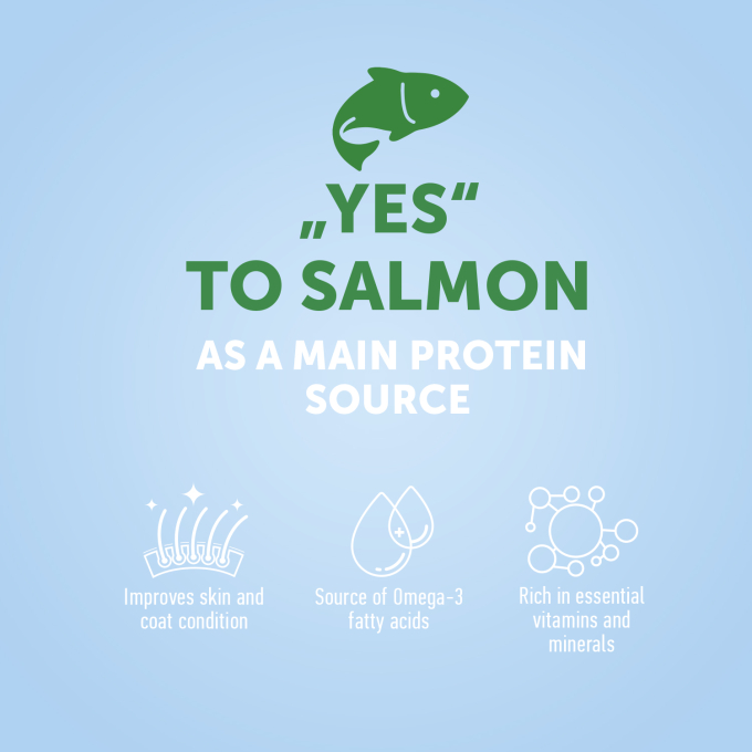 dry food for adult dogs of all breeds with salmon - 1