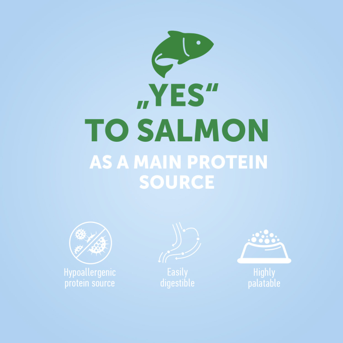 dry food for adult dogs of all breeds with salmon - 2