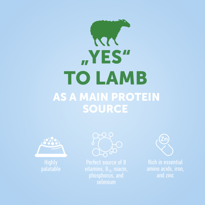 dry food for adult dogs of all breeds with lamb - 3