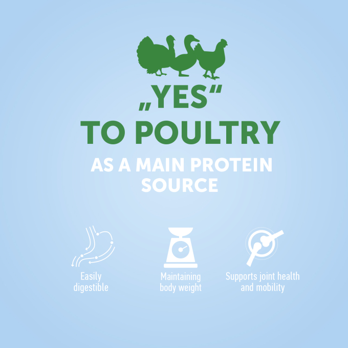 dry food for adult sensitive cats with poultry - 2