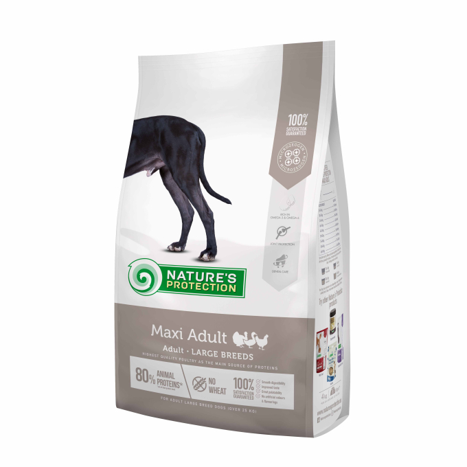 dry food for adult large breed dogs with poultry - 0