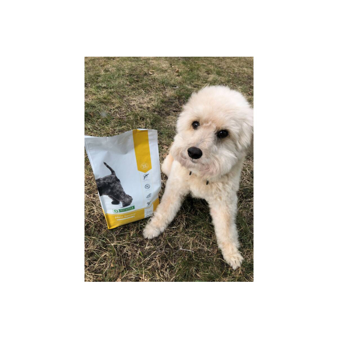 nourriture sèche pour chiens âgés de petites races avec de la volaille - 3