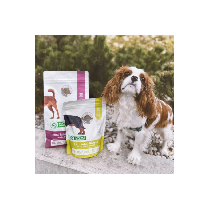 alimento seco para perros adultos de razas pequeñas con salmón - 6